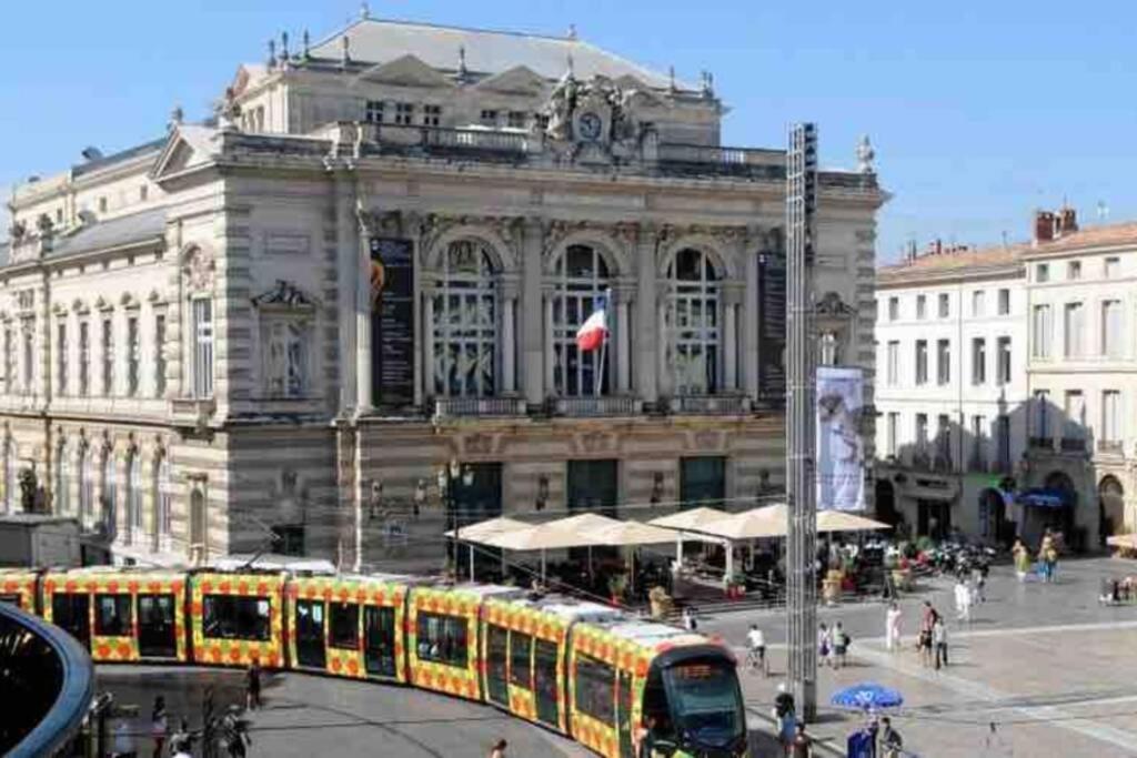 Ferienwohnung Superbe T2+Parking,Proche Centre Ville & Plages Montpellier Exterior foto